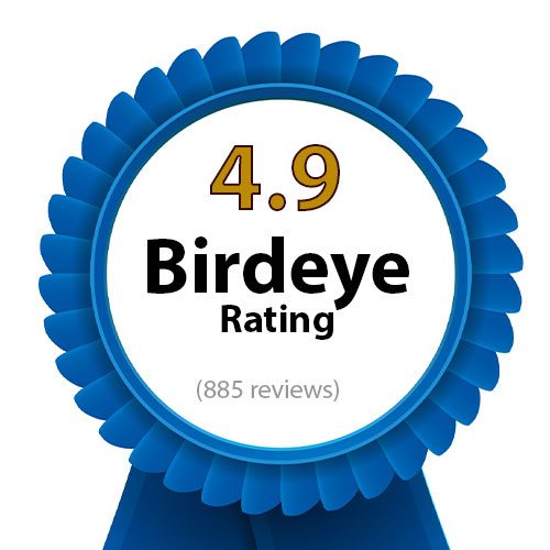 Birdeye 4.9 Rating